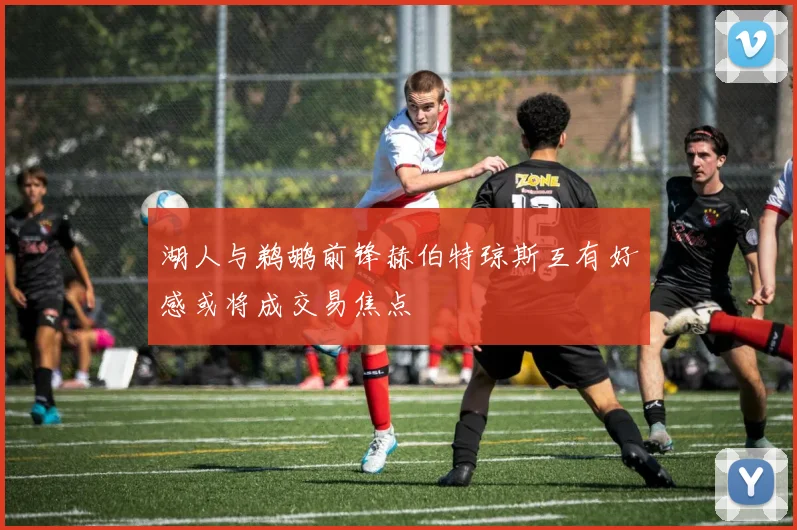 湖人与鹈鹕前锋赫伯特琼斯互有好感或将成交易焦点