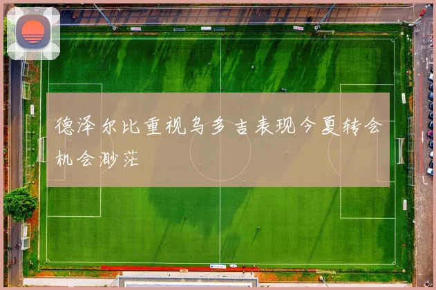 德泽尔比重视乌多吉表现今夏转会机会渺茫